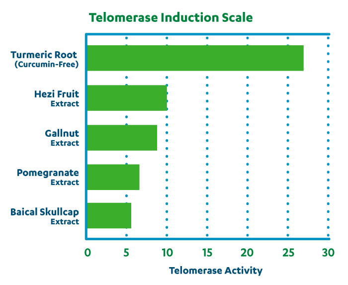 Graph of telomerase induction scale with test results for each plant extract Graph of telomerase induction scale with test results for each plant extract